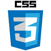css3